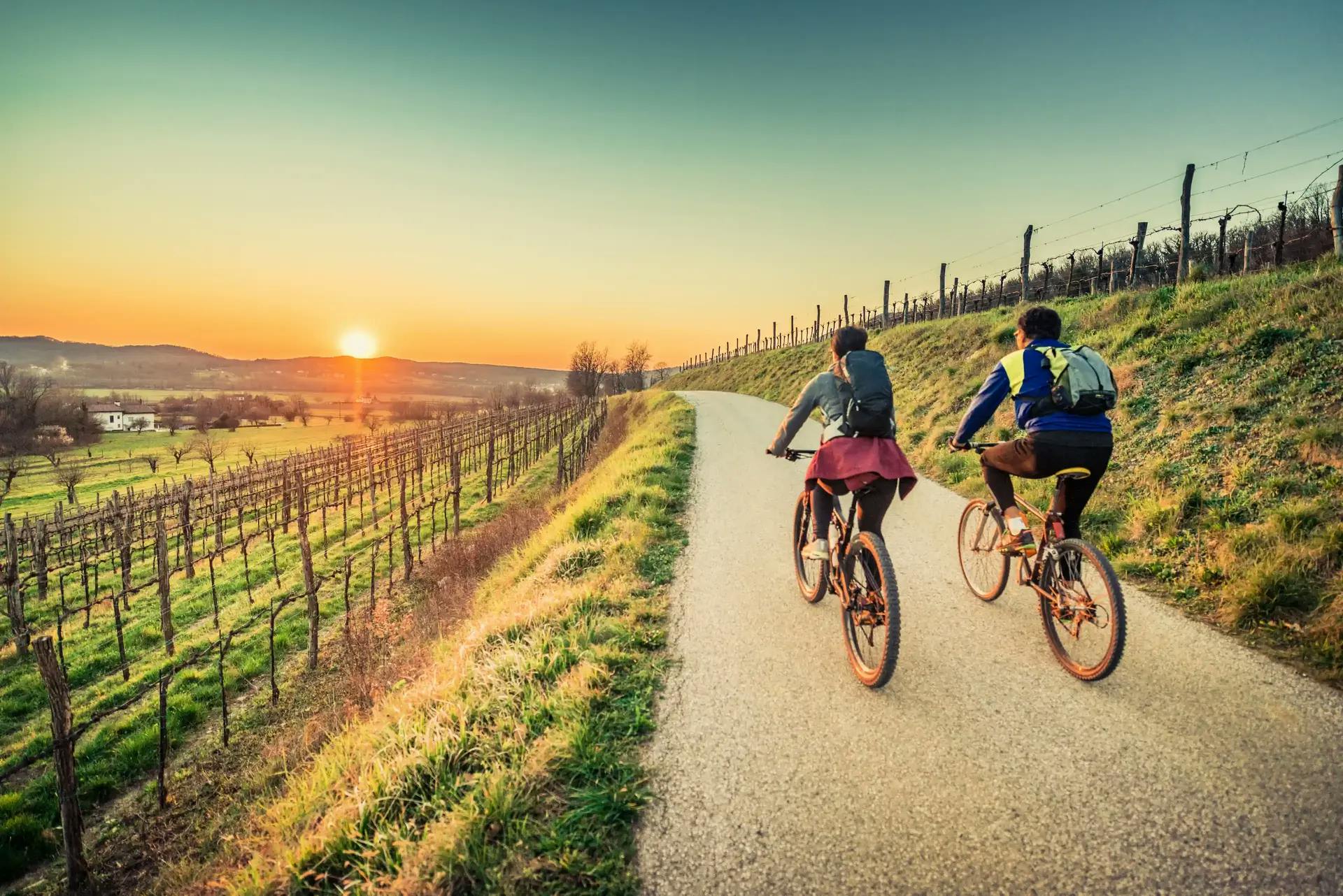 A couple biking down a long country road at sunrise